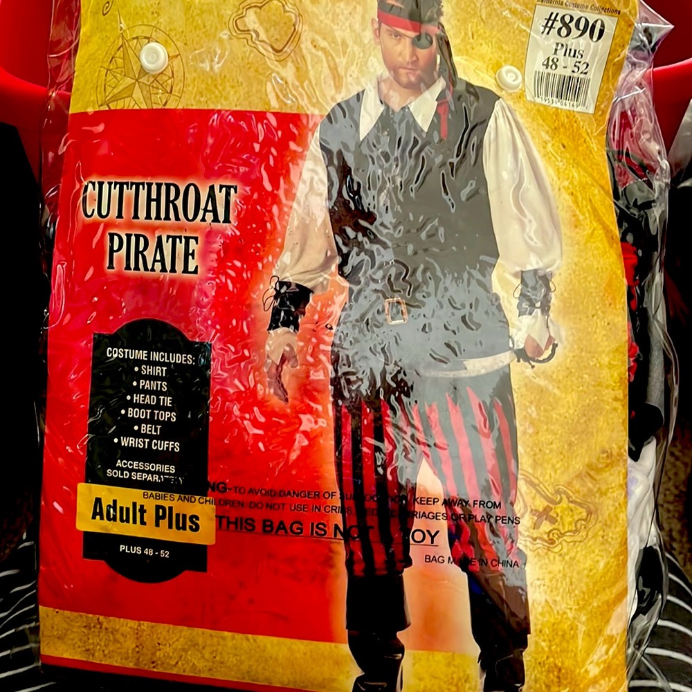 Pirate costume plus size mens